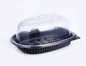 restaurant disposable containers