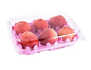disposable plastic fruit containers