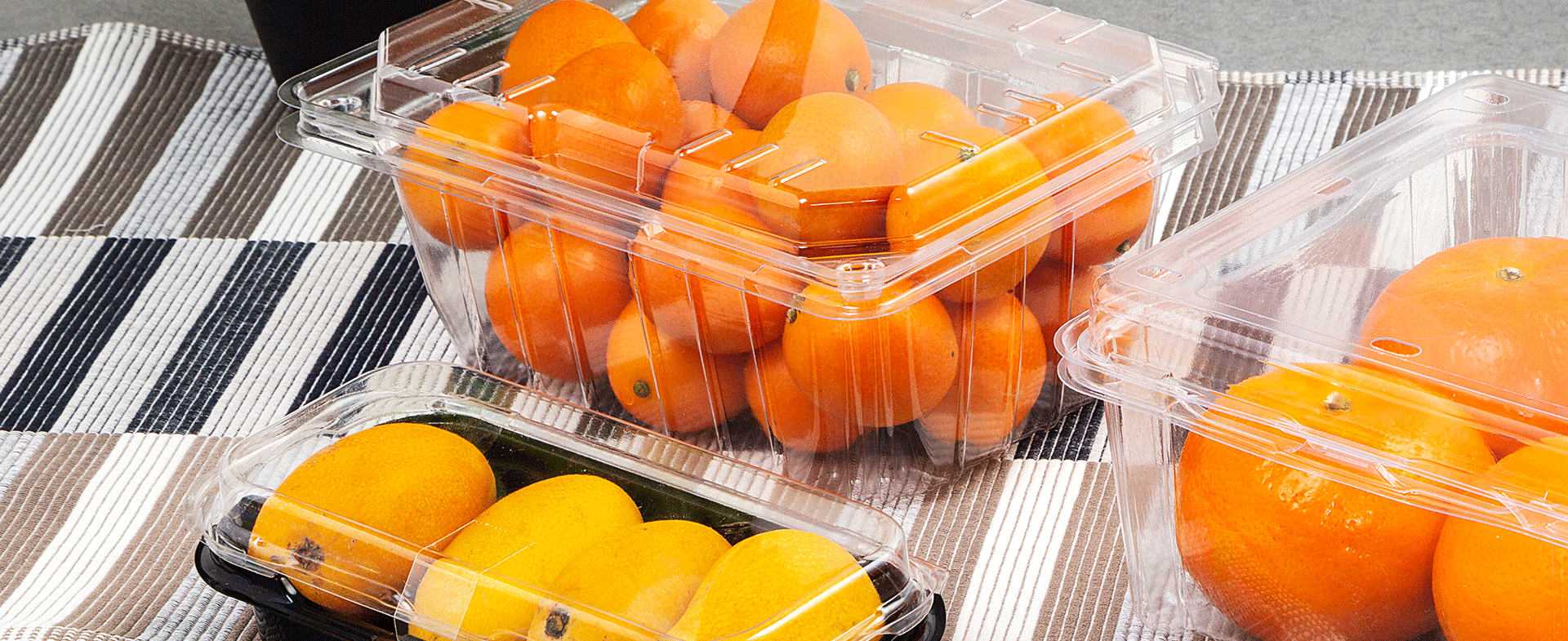 Quality Control of Lesui Disposable Fruit & Vegetable Container
