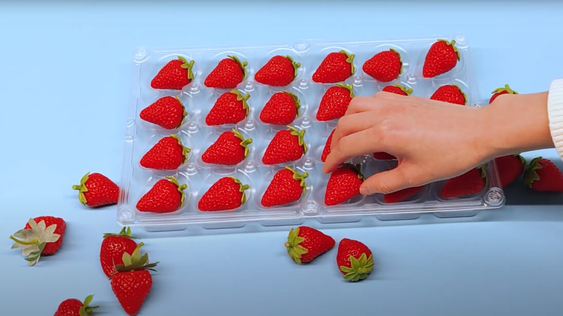 Disposable Food Packaging Tray Video