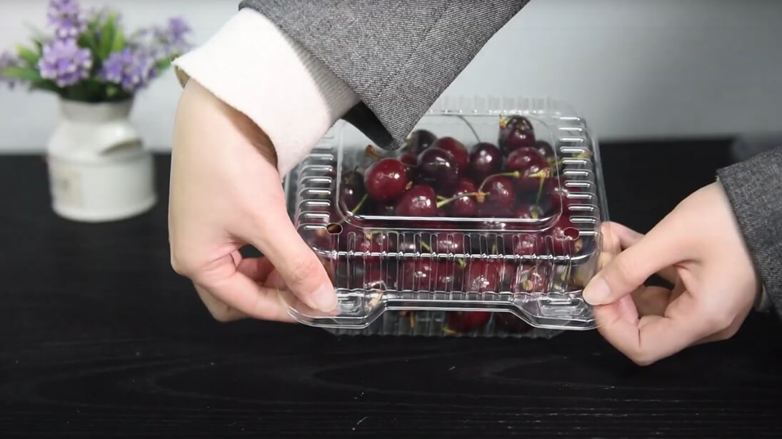 Video Display about Disposable Fruit Containers