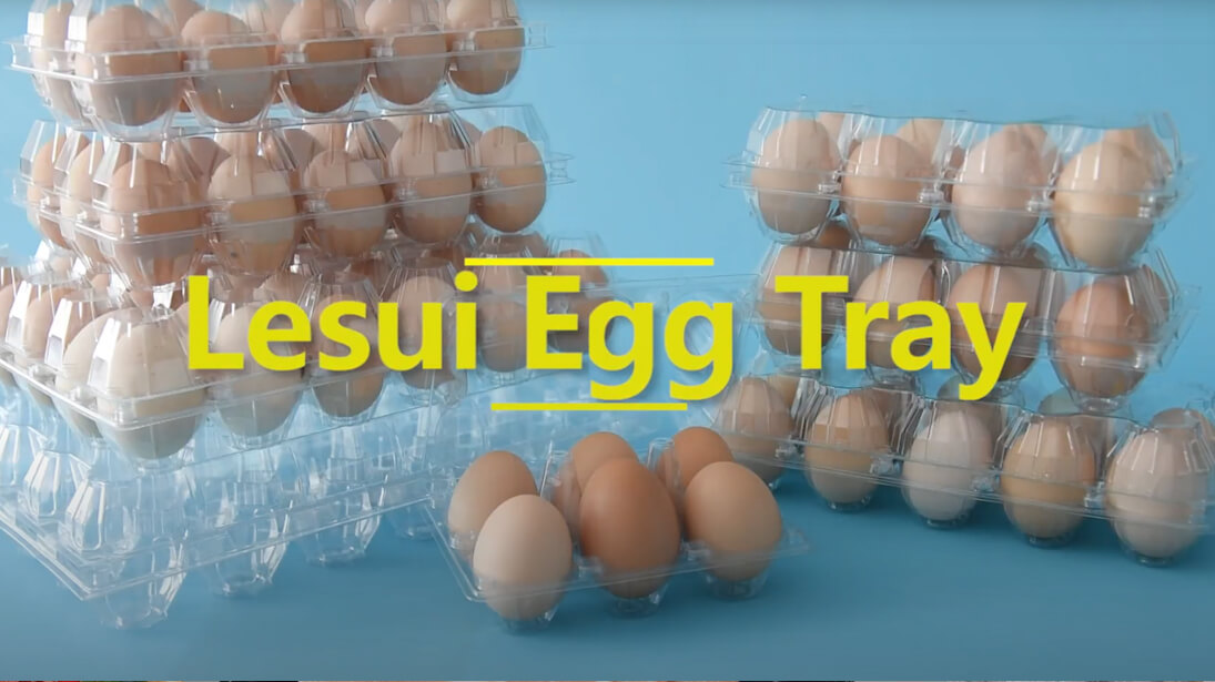 Disposable Plastic Egg Tray Video