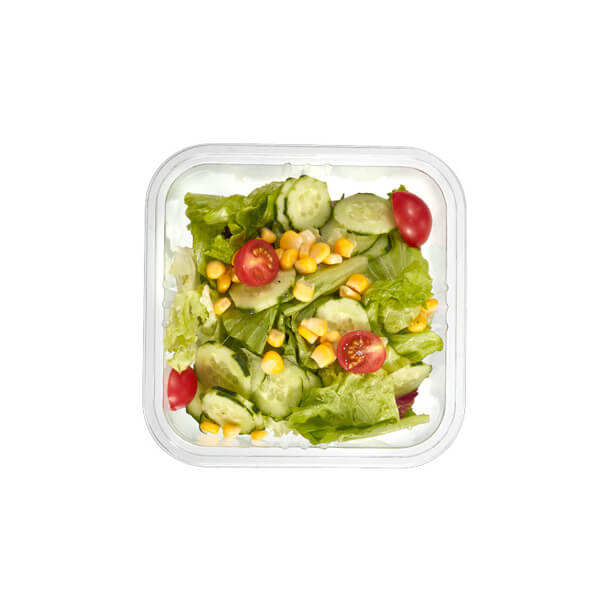 Disposable Transparent Vacuum Sealed Container Plastic Fruit Container Salad Packaging Container