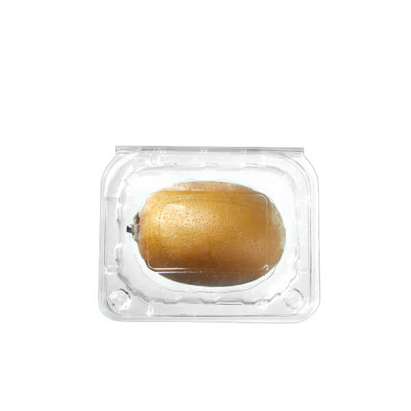 Wholesale Clear Plastic Disposable Fruit Clamshell Punnet Box Packaging Container