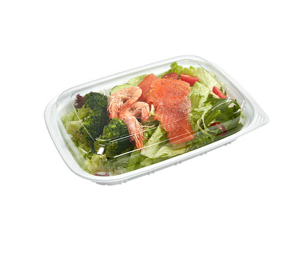 disposable salad boxes