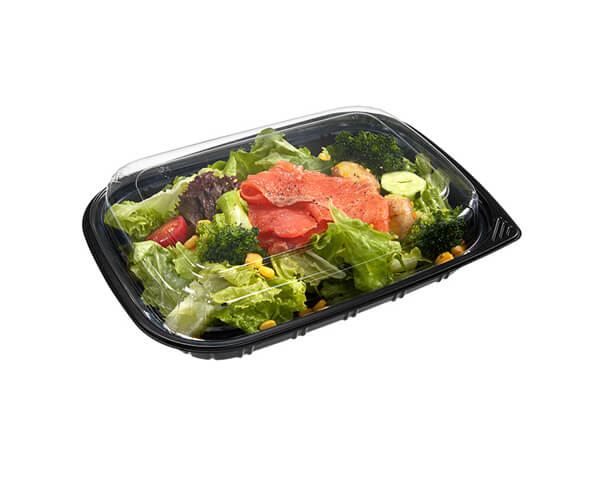 large disposable salad bowls