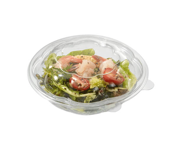 plastic salad containers disposable