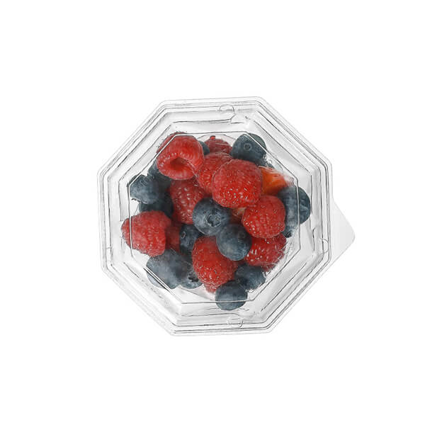 Takeaway Transparent Clear Fast Disposable Plastic Fruit Containers with Lids