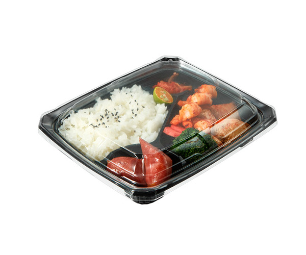 disposable food plastic container