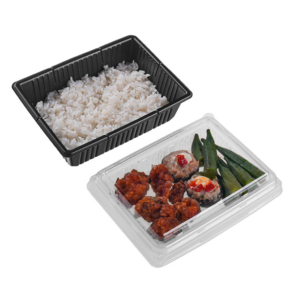 The Disposable 2 Layers Chinese Food Take out Container with Lid