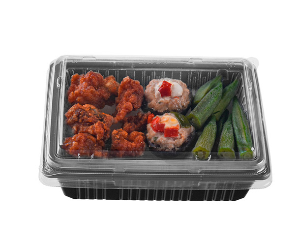 disposable plastic food container