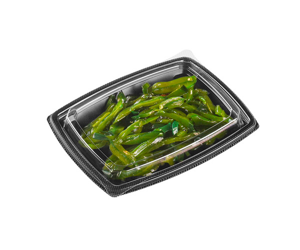disposable plastic food packaging containers