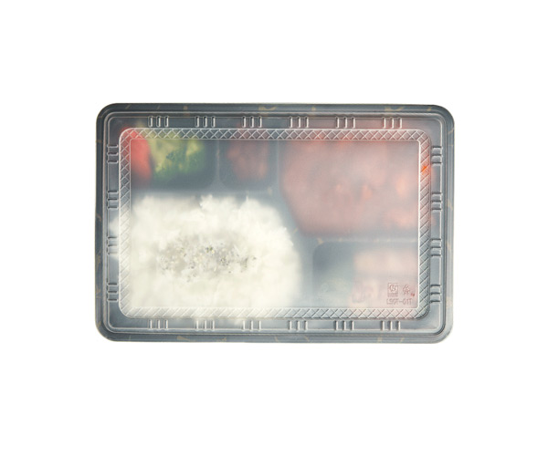 disposable plastic lunch containers