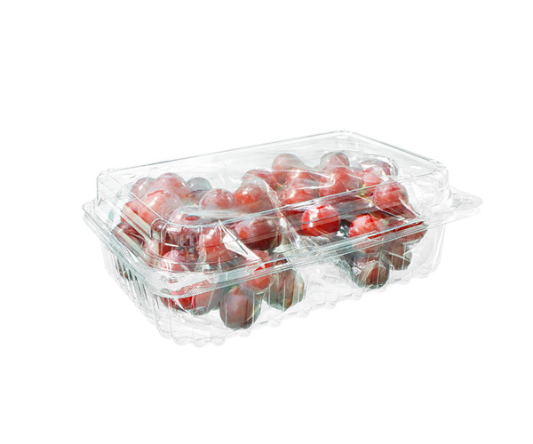 disposable fruit cup containers