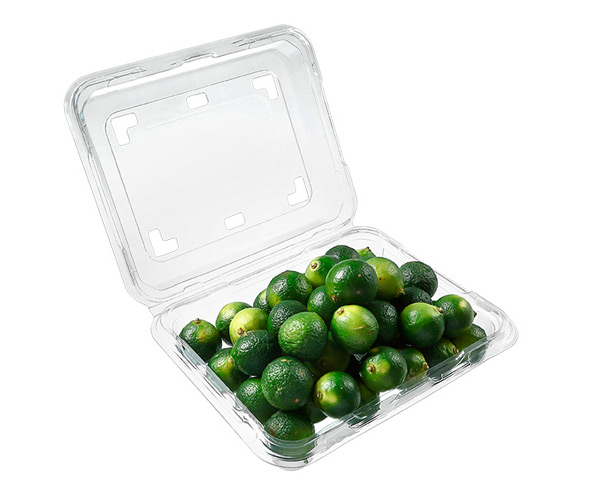 compostable food packaging