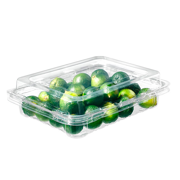 Rectangle Shapes Specialed Punching Design Fresh Fruit Packaging Box to Keep Fresh with Holes
