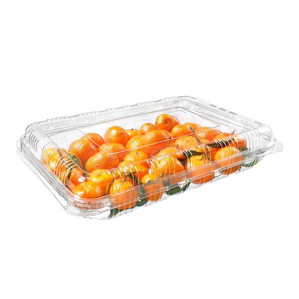 Customized Size and Shape Design Sweet Small Oranges Fresh Fruits Packaging Take out Plastic Box