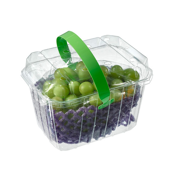 High Capality Easy Carry Design Plastic Box with Handle for Fruits Grapes Packaging Take Out