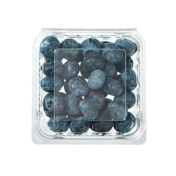 Blue Berries 150g Take out Packaging Plastic Clear Disposable Box with Holes