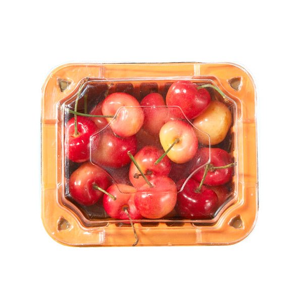 Colorful 250g Pinck Blackberry Plum Fresh Fruit Takeaway Packaging Box with Tigh Lid