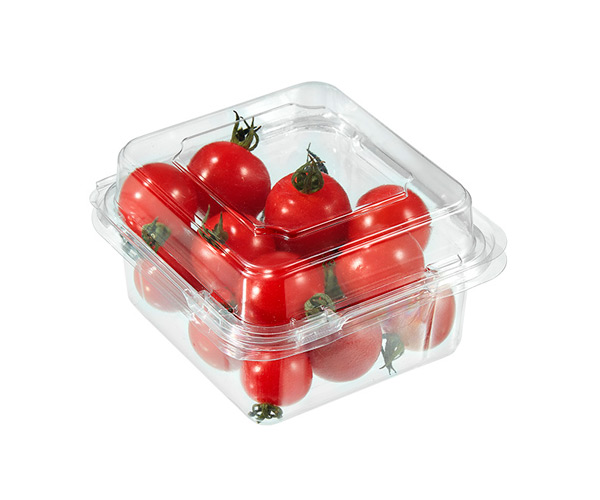 disposable fruit cup containers
