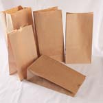 Compostable Paper Bags