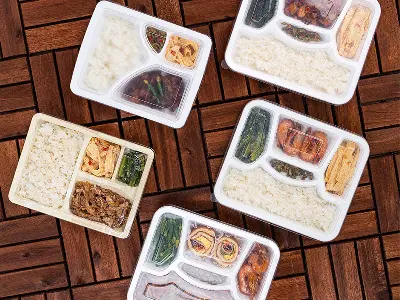 Disposable Lunch Packaging