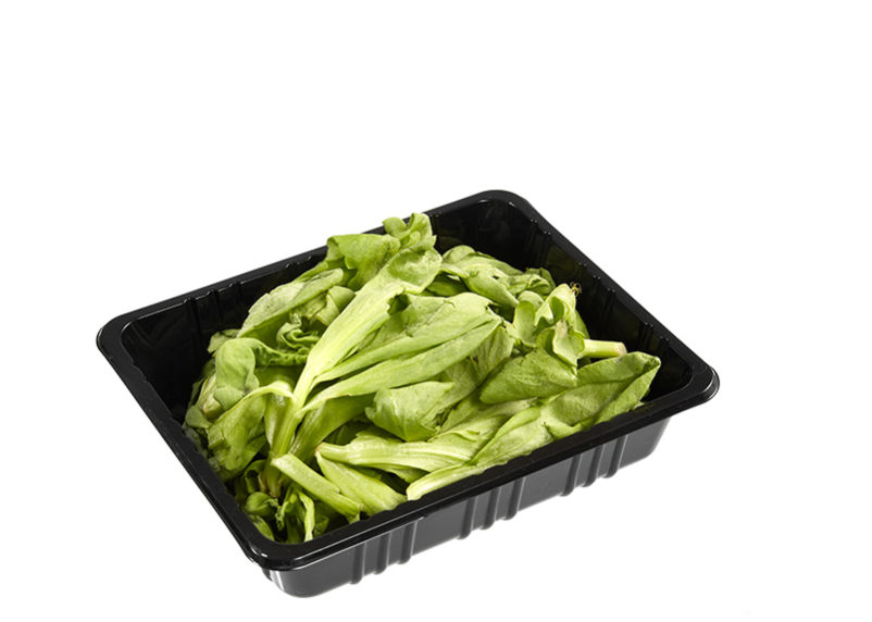 disposable-food-tray-suppliers.png