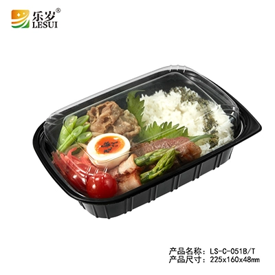 plastic disposable food container