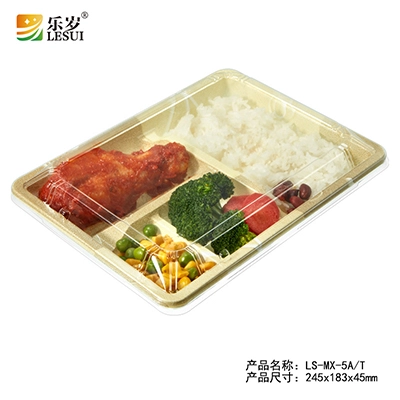 square plastic disposable containers
