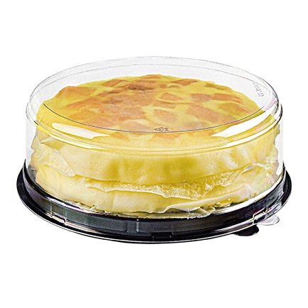 plastic cake container with clear dome lid