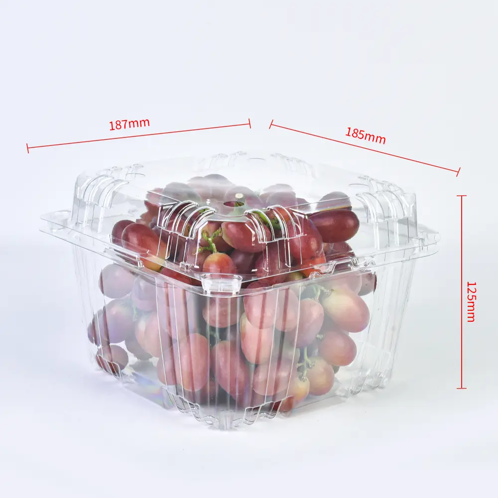 1000g packaging container