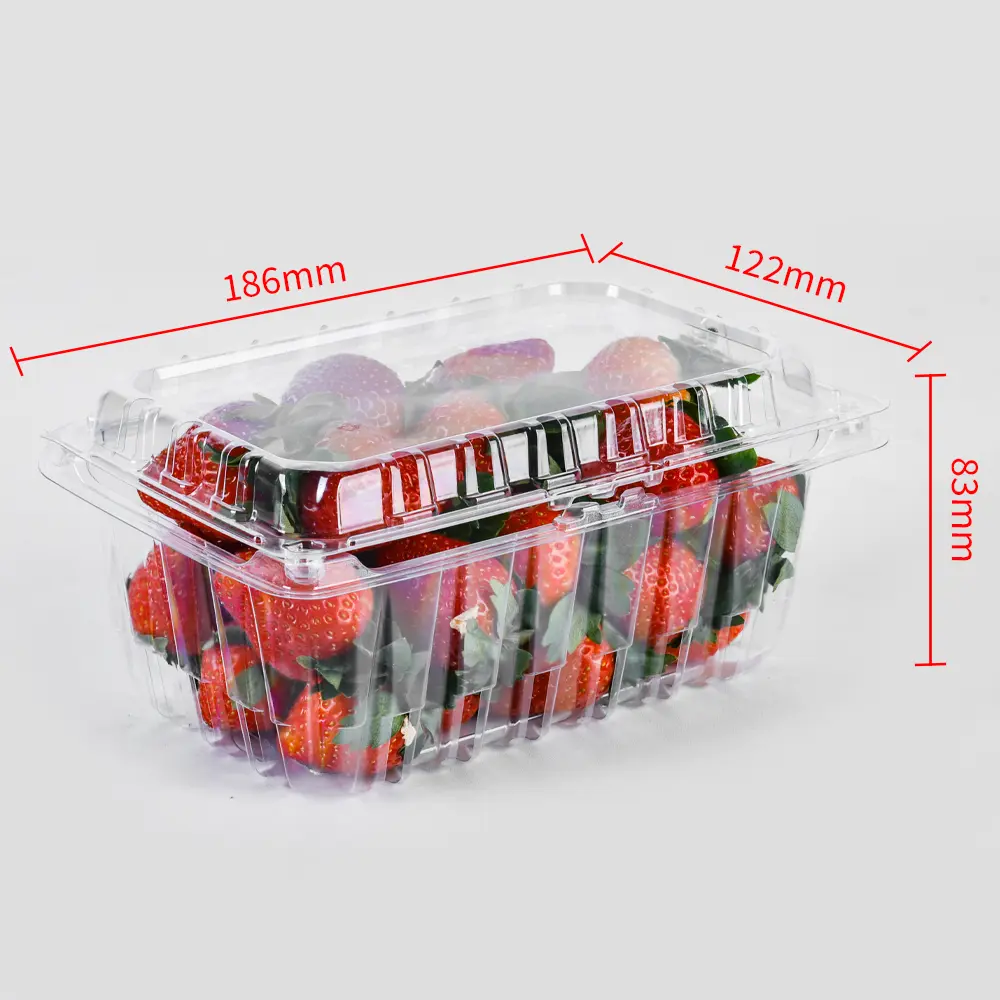 450g packaging container