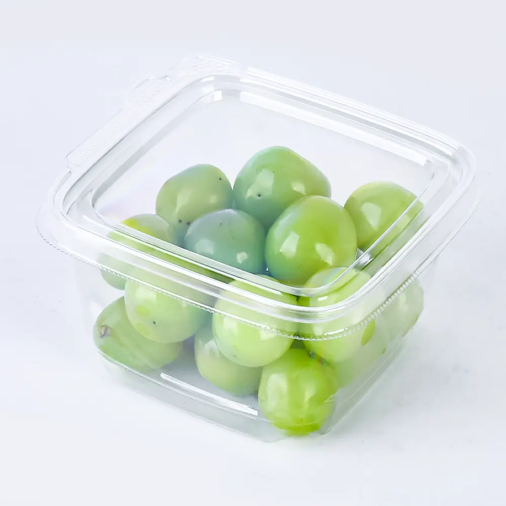 Disposable Pet Transparent Recyclable Plastic Fruit Salad Container