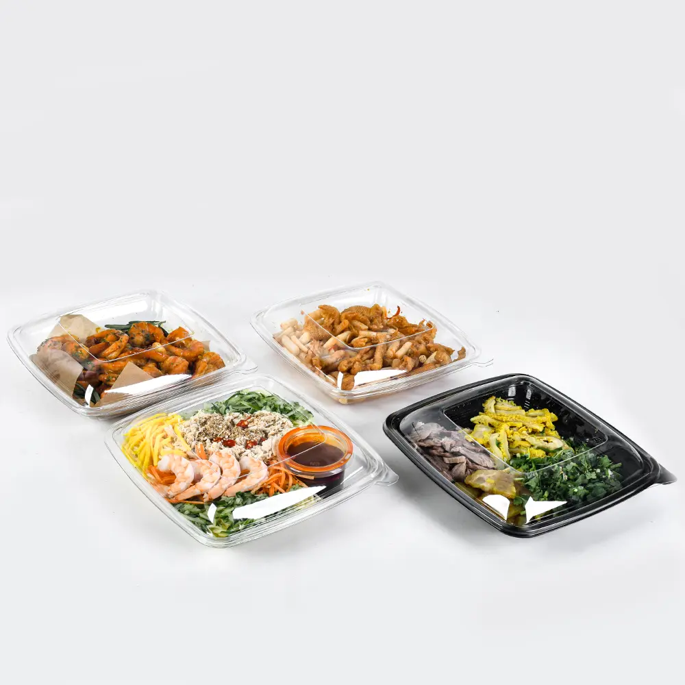 Disposable Lunch Packaging