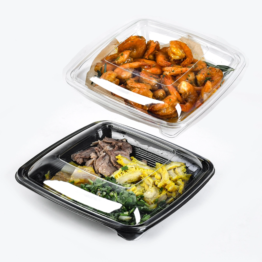 Disposable Lunch Packaging