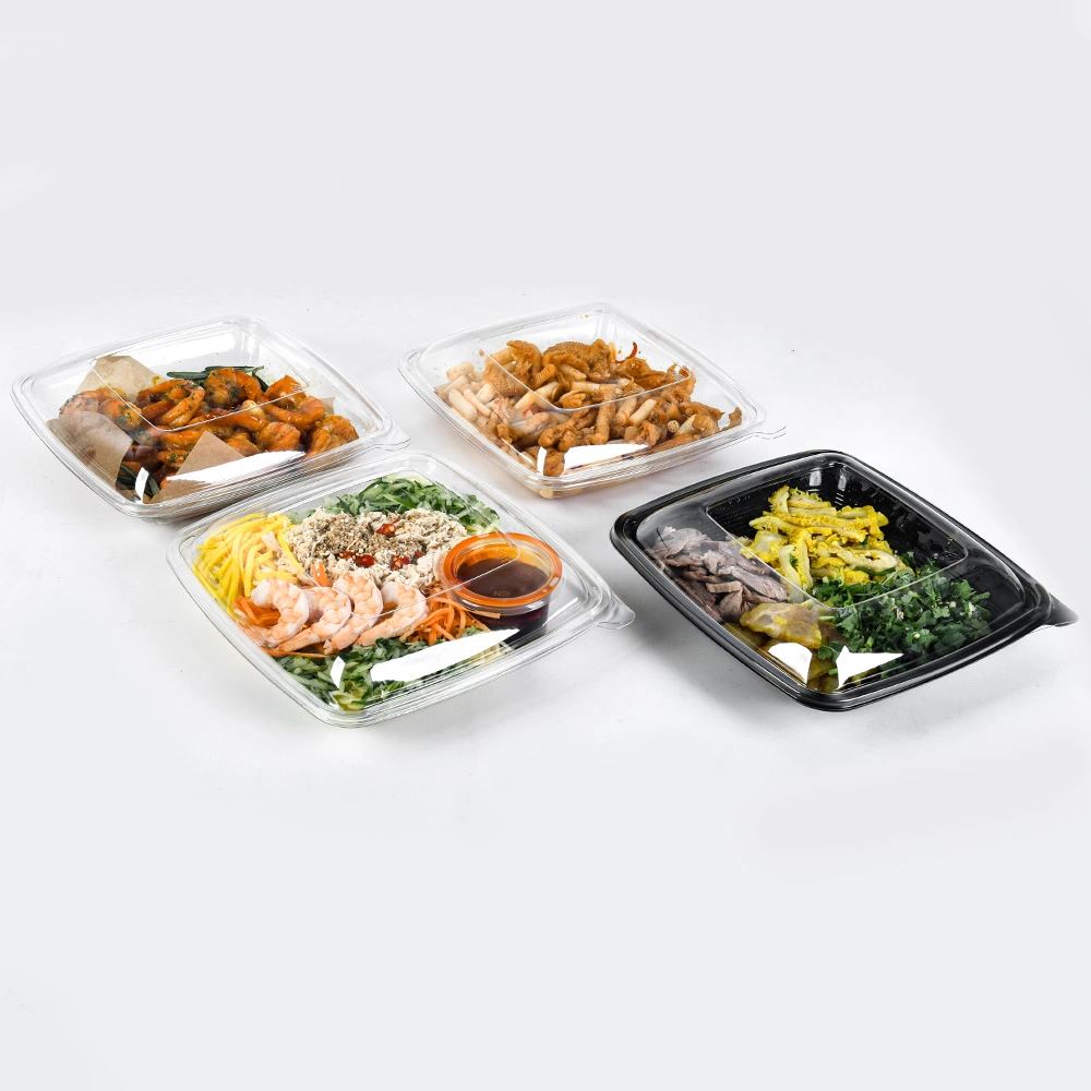 Disposable Plastic Lunch Containers