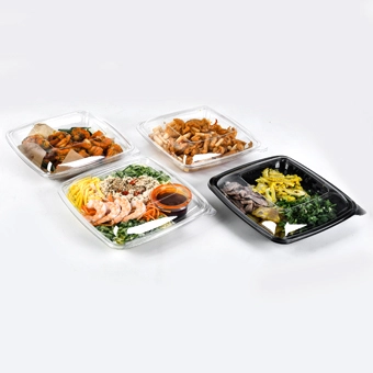 Disposable Plastic Lunch Containers