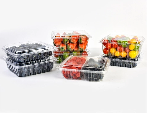 Disposable Fruit Containers