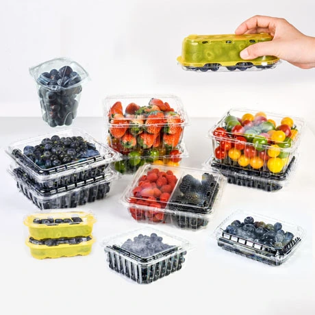 Disposable Fruit Containers