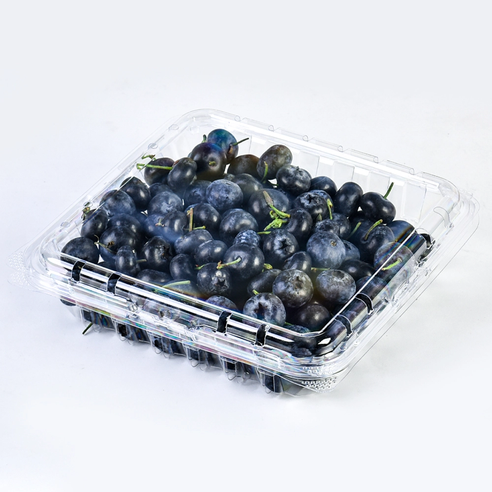 1 lb Blueberry Container Clear PET Plastic Fresh Fruit Packaging Box with Air Holes