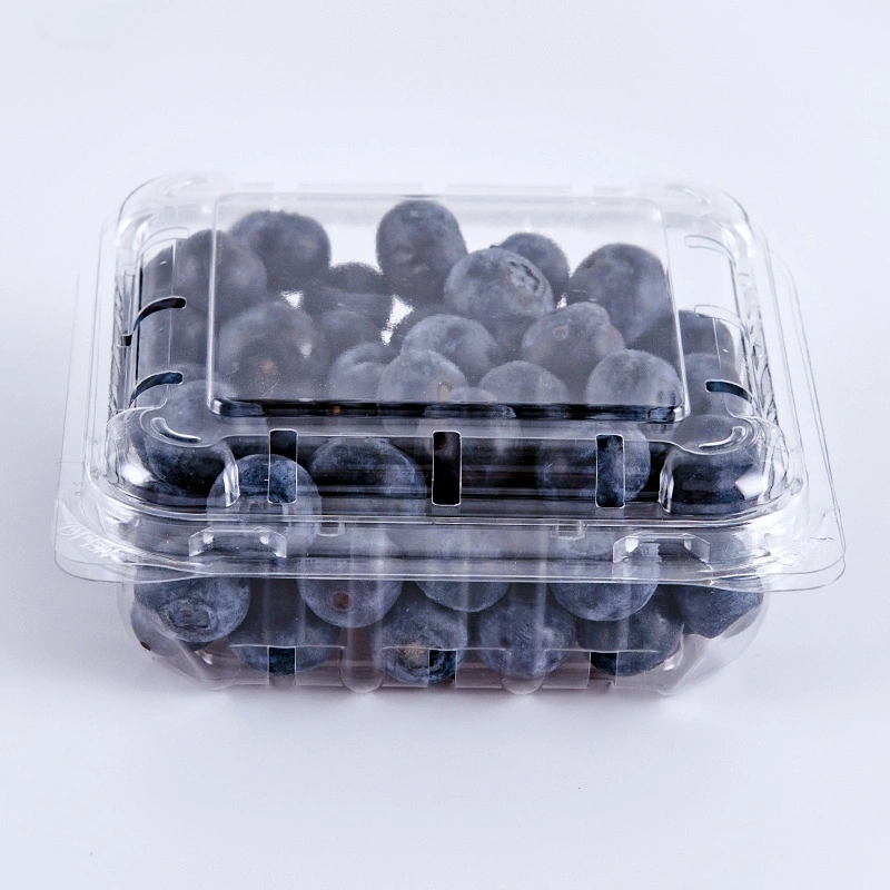 150g Take out Fresh Fruit Packaging Box Clear Disposable Plastic Blue Berries Container with Holes