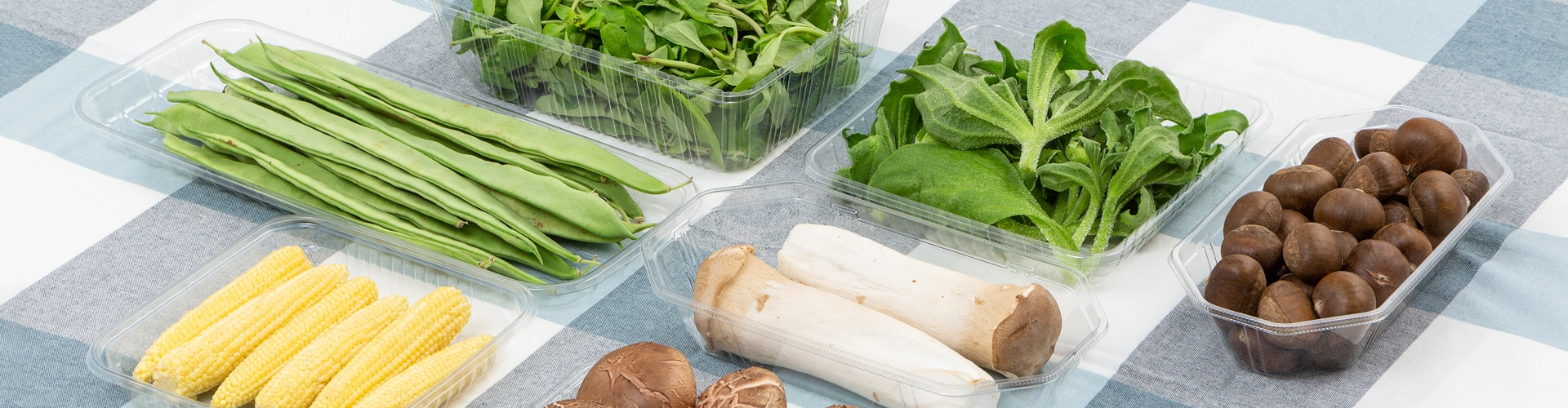 Disposable Vegetable Container