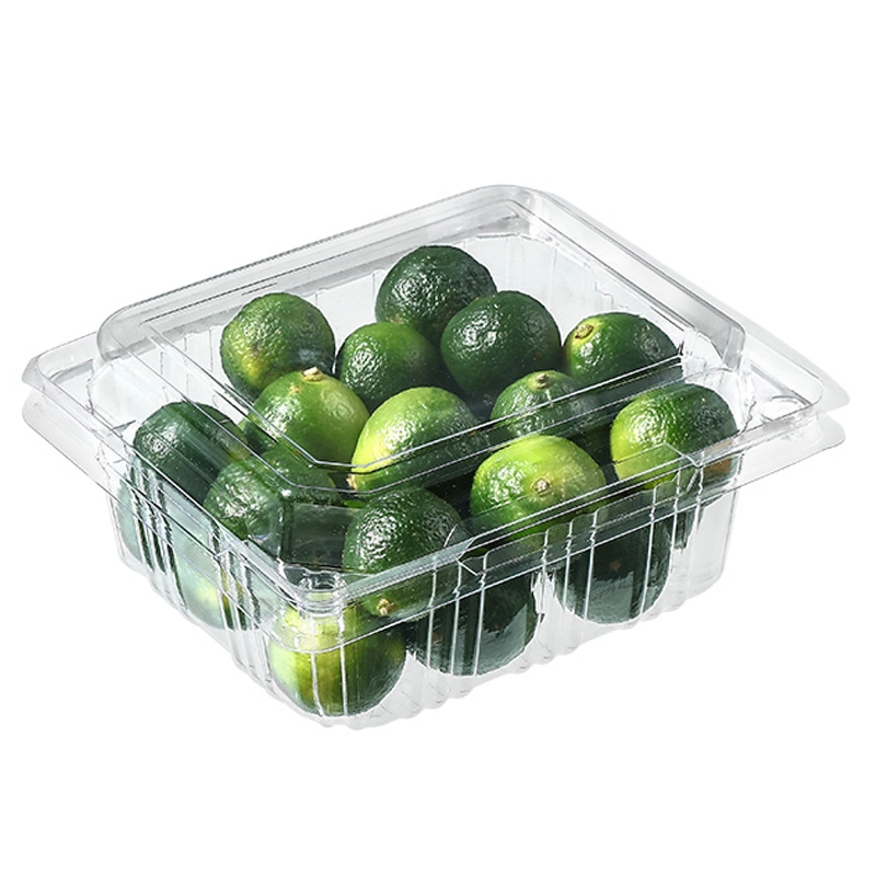sgl 250g 3