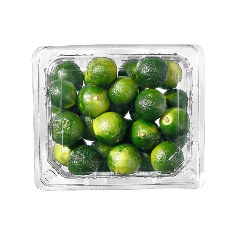 sgl 250g