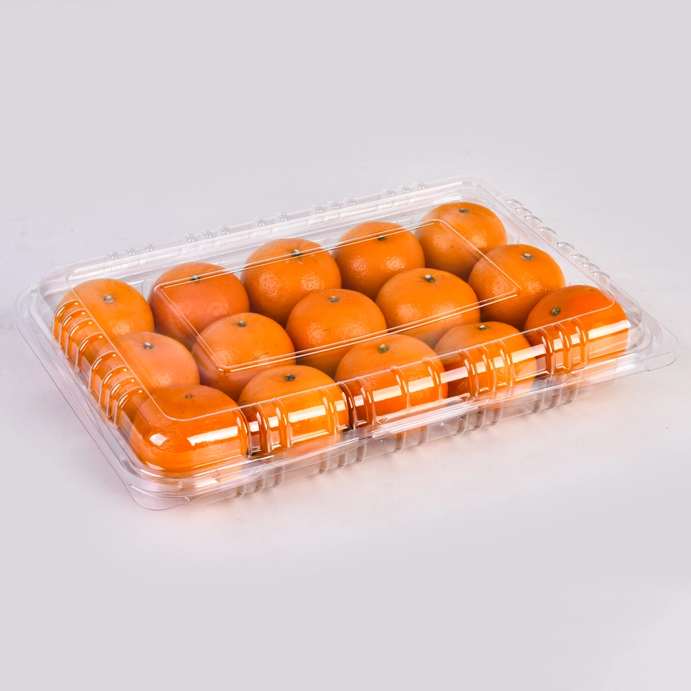 Customized Sweet Small Oranges Fresh Fruits Packaging Box Take out Plastic Clamshell Food Container