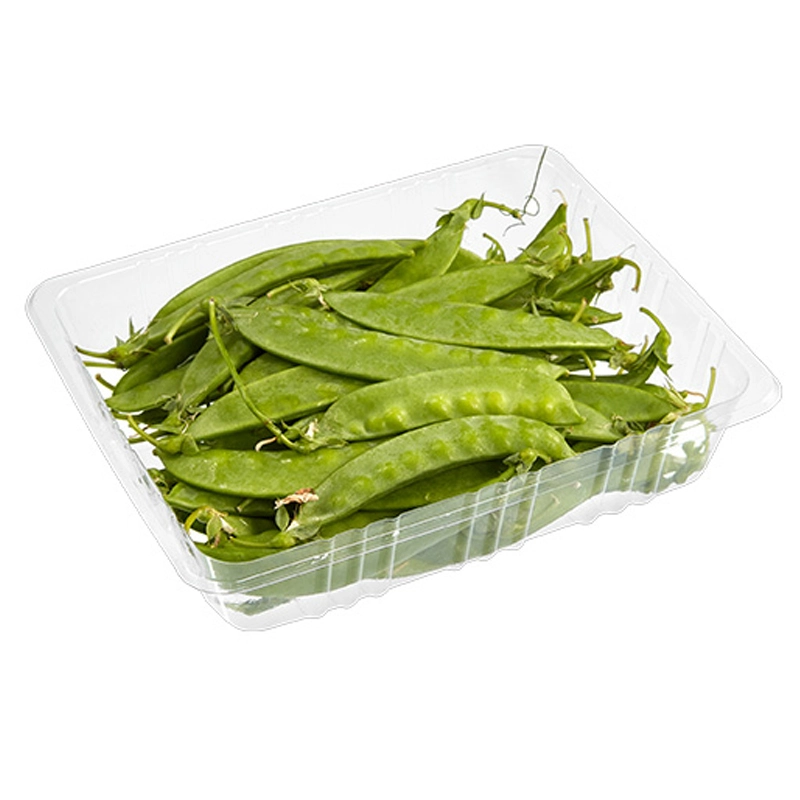 Clear Food Grade PET Disposable Plastic Fruit Vegetable Packing Tray