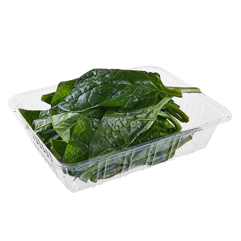 Factory Price Disposable PET Vegetable Fruit Pack Plastic Food Vegetable Display Trays