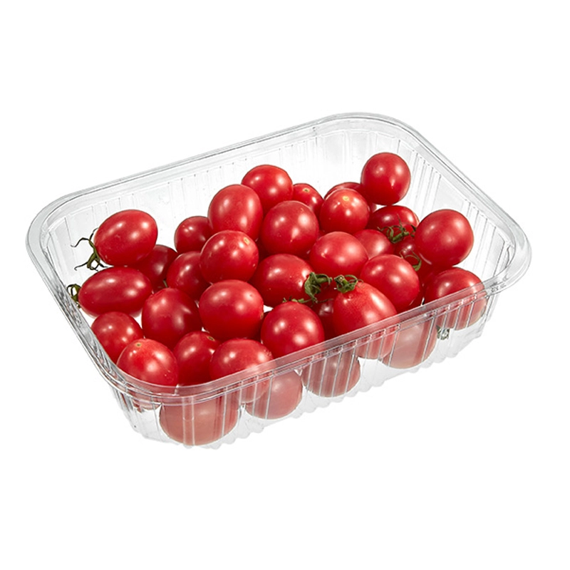 Transparent PET Disposable Fruit Container Plastic Vegetable Packaging Trays for Supermarket