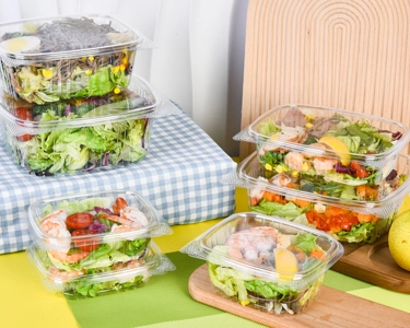 Disposable Salad Container